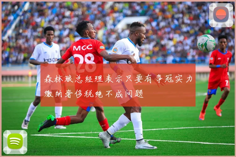 森林狼总经理表示只要有争冠实力缴纳奢侈税绝不成问题
